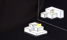 Объявлены лучшие оптические иллюзии года