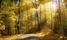 В Украине в ближайшие дни до 23 градусов тепла