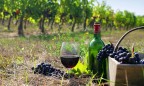 Трампу не нравятся высокие ввозные пошлины на вино во Франции