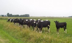 Депутаты перенаправили миллиард с господдержки АПК в Фонд регионального развития