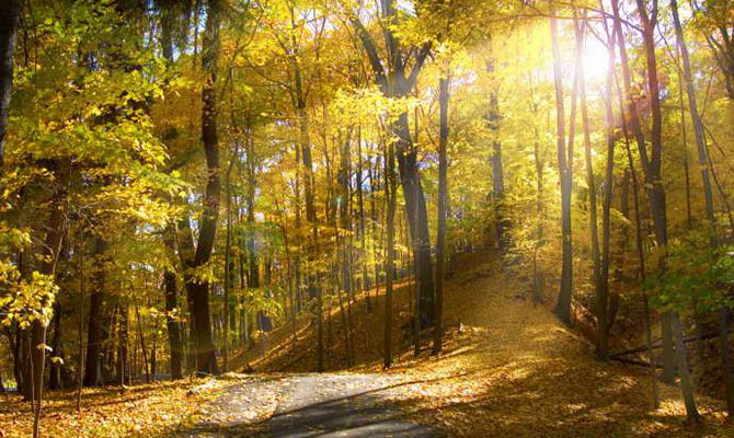 За осень погода в Украине побила сразу 8 температурных рекордов