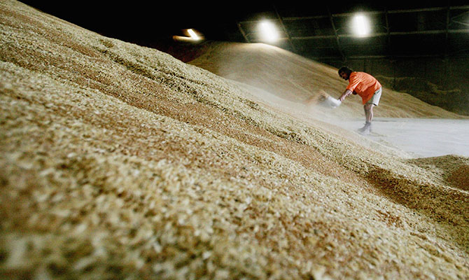 Россия планирует к 2036 году довести сбор зерновых до 150 миллионов тонн