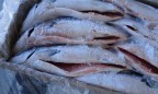 Украина существенно увеличила экспорт рыбы