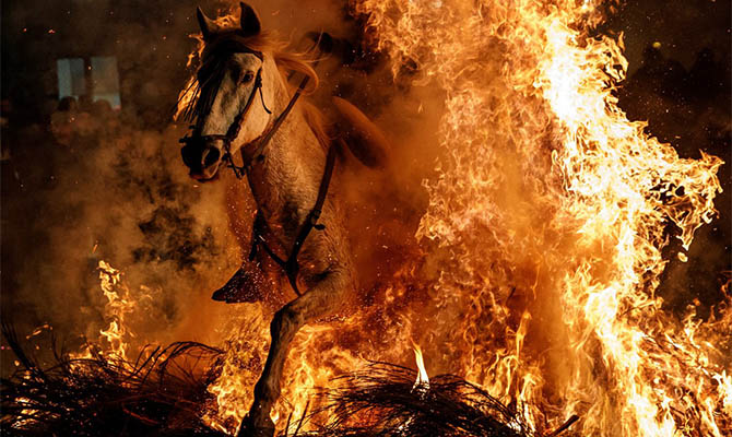 Лучшие фотографии мира 2018 года