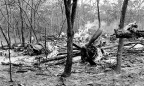 Бельгийский пилот признался, что в 1961 году сбил в Африке самолет генсека ООН