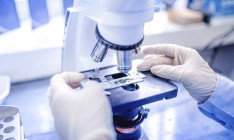 Ученые случайно открыли потенциальное лекарство от болезни Альцгеймера