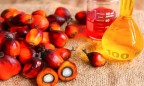 Украина продолжает наращивать импорт пальмового масла