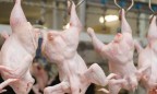 Евросоюз и Украина внесут правки в ЗСТ из-за курятины