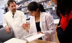 Ученые оживили мозг свиньи через четыре часа после смерти