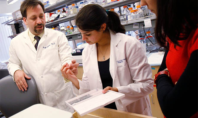 Ученые оживили мозг свиньи через четыре часа после смерти