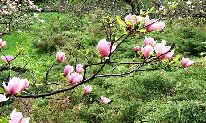 Завтра в Украине потеплеет и станет меньше дождей