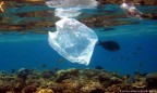 В Мехико запрещают пластиковые пакеты