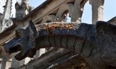 Во Франции приняли специальный закон о реставрации собора Нотр-Дам