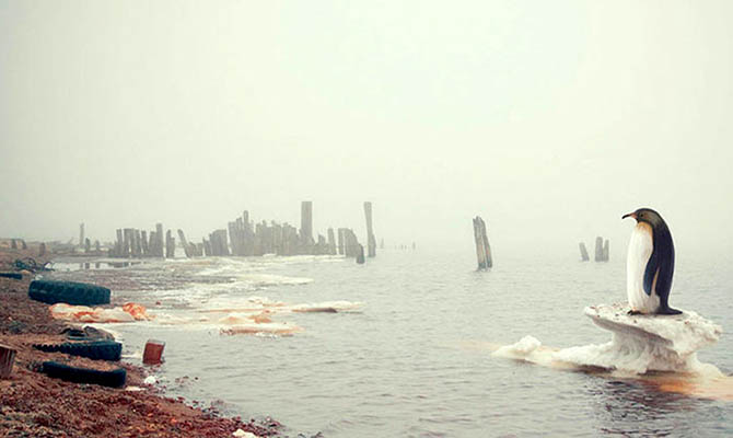 Ученые заявляют о критическом уровне углекислого газа в атмосфере