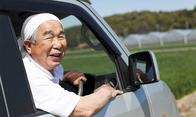 В Японии будут выдавать специальные права для пожилых водителей