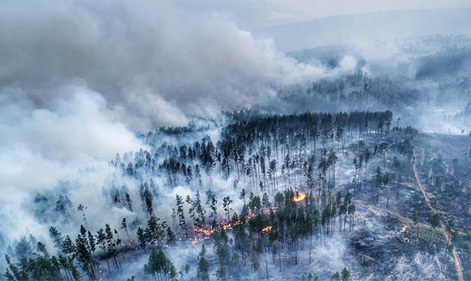Площадь лесных пожаров в Сибири превысила 1,5 млн га