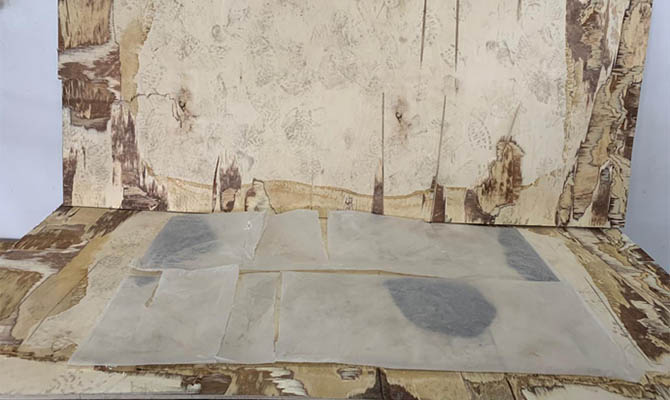 На границе со Словакией задержали грузовик с 370 кг героина