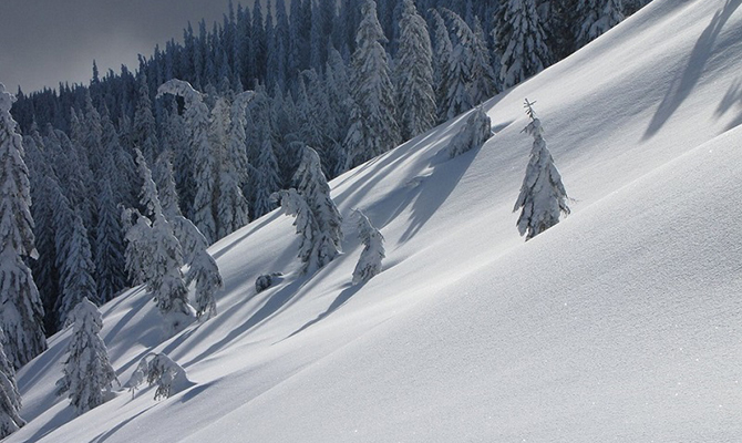 Карпаты засыпало почти метровым слоем снега
