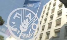 Мировые цены на продовольствие достигли пятилетнего максимума, - ФАО
