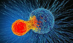 Ученые нашли возможный способ борьбы со «всеми видами рака»
