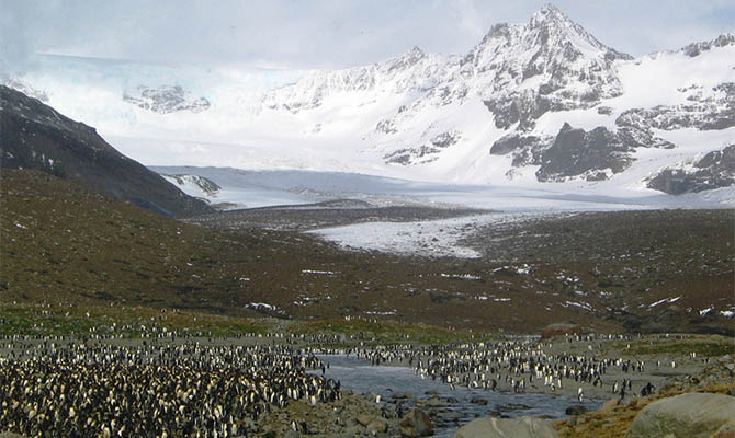 В Антарктике снова зафиксировали рекордно высокую температуру