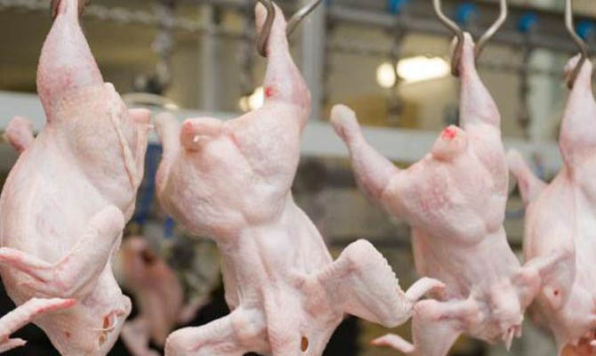 Уже 10 стран ввели запрет на импорт украинского мяса птицы