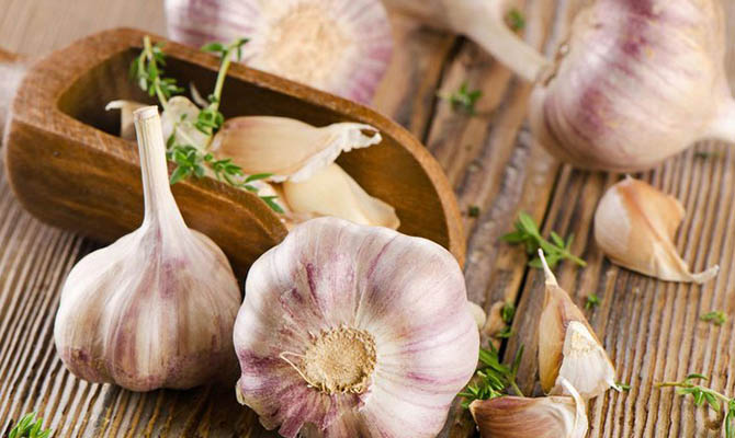 Испанские медики назвали продукты для защиты организма от вирусов