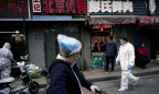 В китайском Ухане запретили разводить и есть диких животных