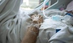 Как на подопытных кроликах: сомнительный препарат «Амизон» испытают на больных с коронавирусом