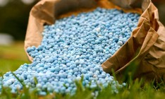 Руководители химпредприятий Украины просят Зеленского объяснить отказ от введения квот на импортные удобрения