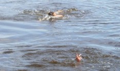 В Украине с начала июля на воде погибли более 180 человек