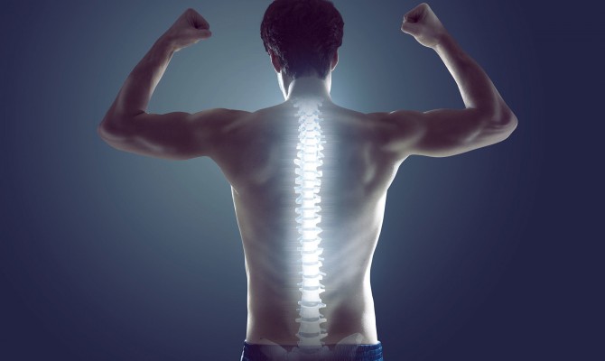 Пояс для спины: что должен знать покупатель