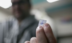 Россиян в Беларусь теперь пускают только с «микропропусками»