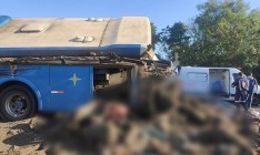 В Бразилии в результате ДТП погиб 41 человек