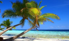 На Гавайях официально запретили продажу солнцезащитных кремов