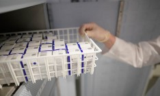 Украина уже договорилась о поставках вакцин четырех производителей