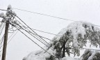 В Украине будет ветрено, в некоторых областях мокрый снег