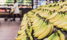 В прошлом году Украина увеличила импорт экзотических фруктов