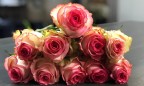 Украина введет спецпошлину в размере 56% на импорт роз
