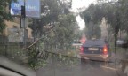 Над Львовом пронеслась буря: улицы затоплены, электротранспорт не работает