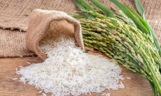 Китай собрал первый урожай риса из побывавших в космосе семян