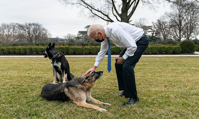В Вашингтоне не смогли сказать, когда именно ждут Зеленского