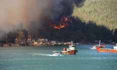 Турция попросила помощь ЕС в тушении лесных пожаров