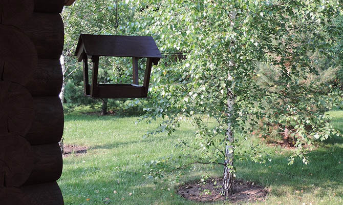 Перерегистрировать дачу в жилой дом теперь можно онлайн