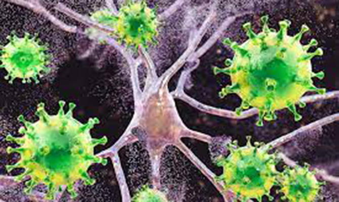 В Украине обнаружили уже 520 случаев «Дельта»-штамма коронавируса