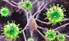 В Украине обнаружили уже 520 случаев «Дельта»-штамма коронавируса