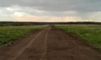 В Украине невозможно отследить стоимость сделок по продаже земли