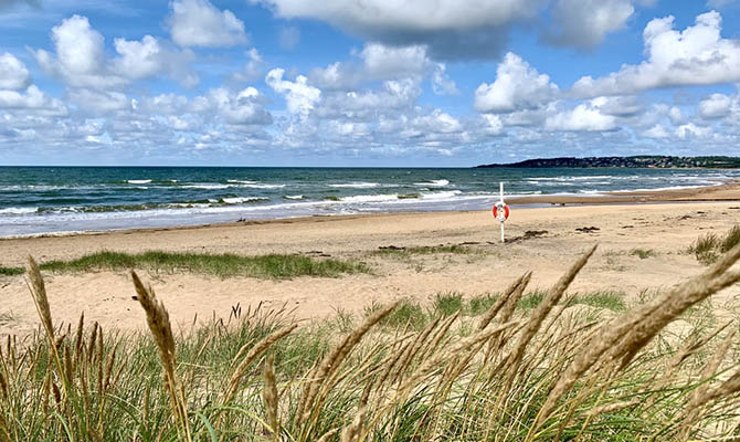 В Украину пришло «бабье лето» - ожидается теплая и сухая погода