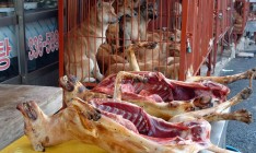 Президент Южной Кореи предложил перестать есть собак