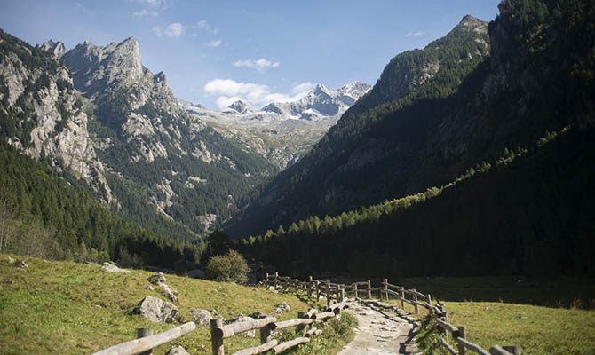 Жители высокогорий реже умирают от инсультов